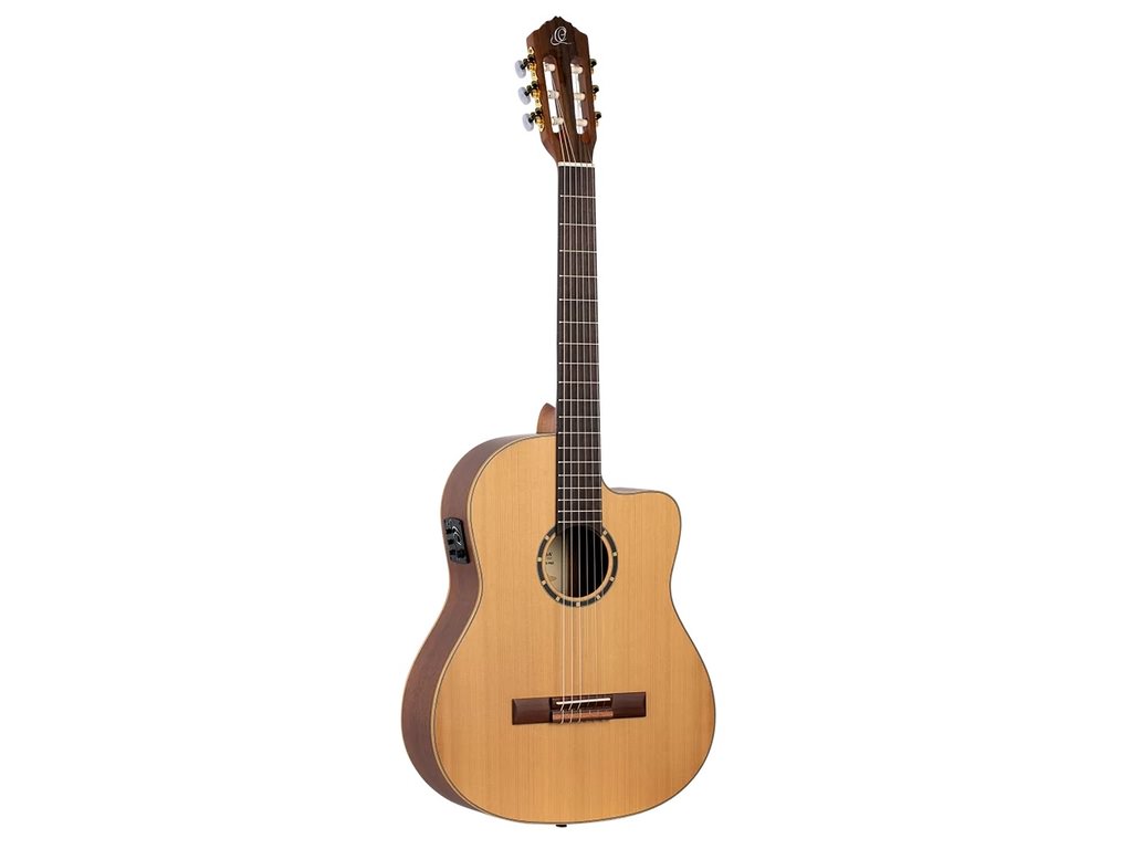 Adams guitar online price